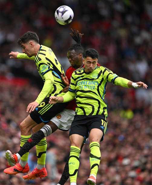 年世界羽毛 年世界羽毛