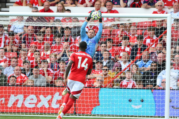 令人惊叹的 令人惊叹的