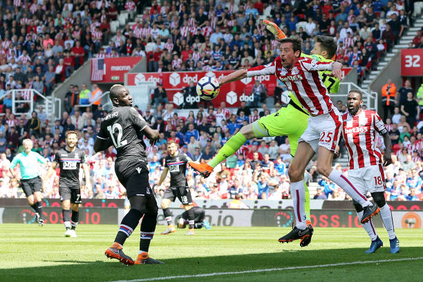 充满活力的 充满活力的